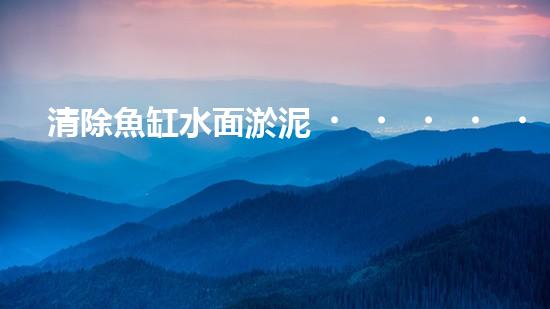 清除魚缸水面淤泥，讓你的寵物魚兒呼吸更暢快！